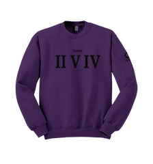 Sweatshirt - Purple (Heavy Fabric)