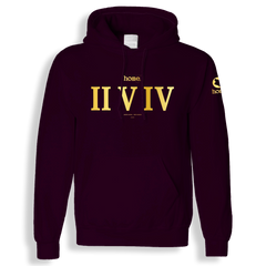 home_254 CLARET HOODIE (HEAVY FABRIC) WITH A GOLD ROMAN PRINT