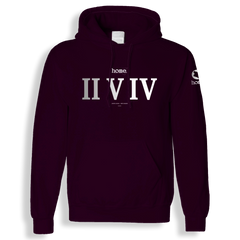 home_254 CLARET HOODIE (HEAVY FABRIC) WITH A SILVER ROMAN PRINT