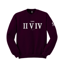 home_254 CLARET SWEATSHIRT WITH A SILVER ROMAN PRINT