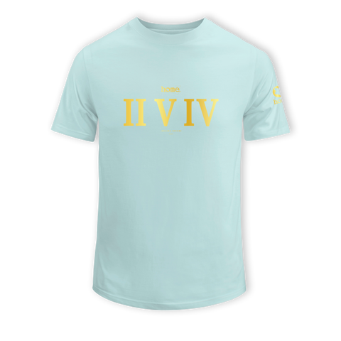 home_254 KIDS SHORT-SLEEVED MISTY BLUE T-SHIRT WITH A GOLD ROMAN NUMERALS PRINT – COTTON PLUS FABRIC
